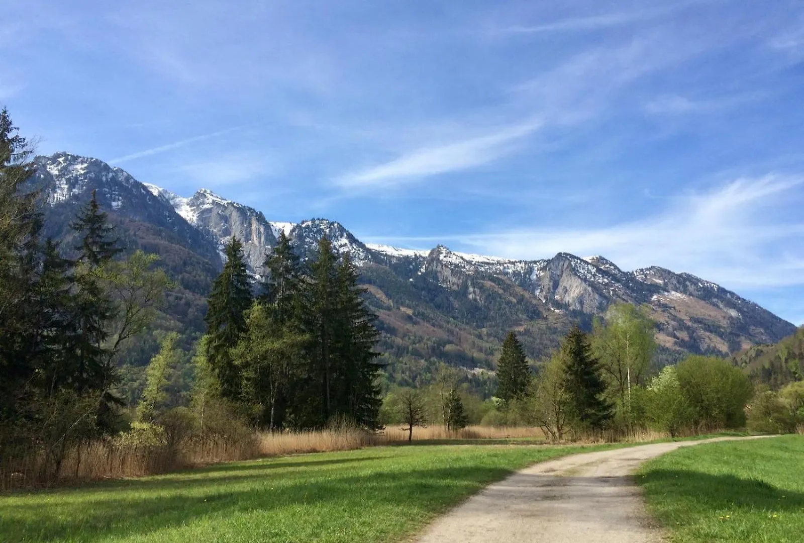 Esterer Grödig